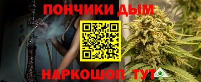 гидропоника Камышлов