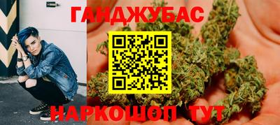 гидропоника Камышлов