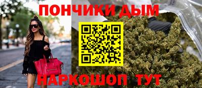 гидропоника Камышлов