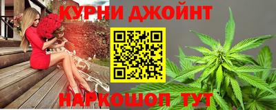 гидропоника Камышлов