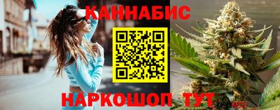 гидропоника Камышлов
