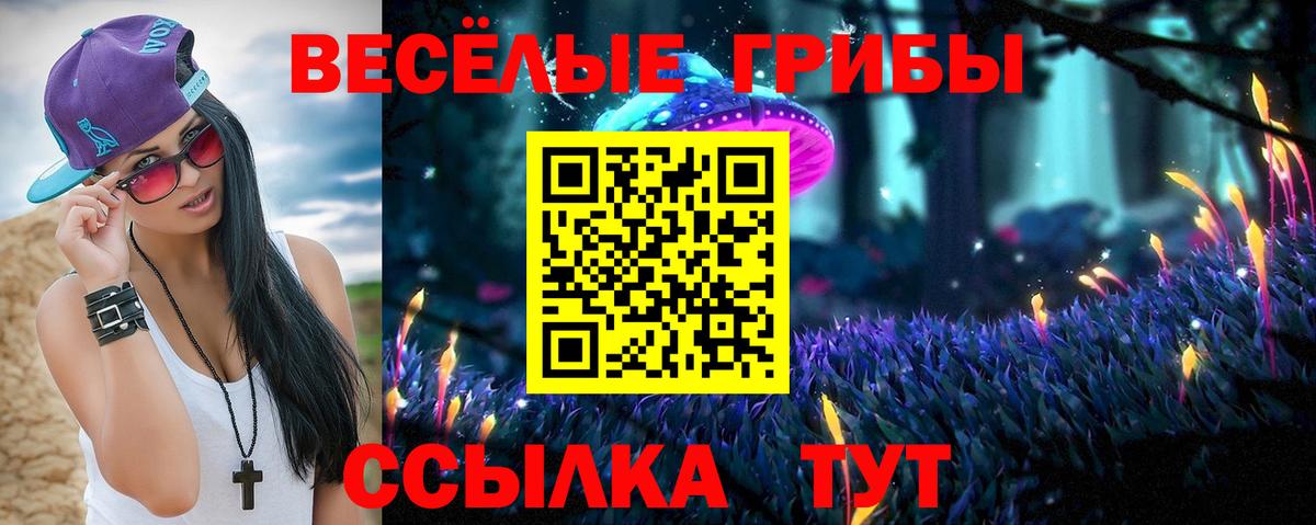Галлюциногенные грибы Cubensis Кыштым