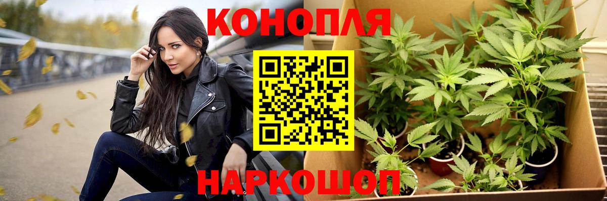 Марихуана THC 21% Кыштым